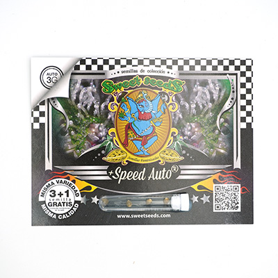 +Speed Auto > Sweet Seeds | Autoflowering Hanfsamen  |  Hybrid